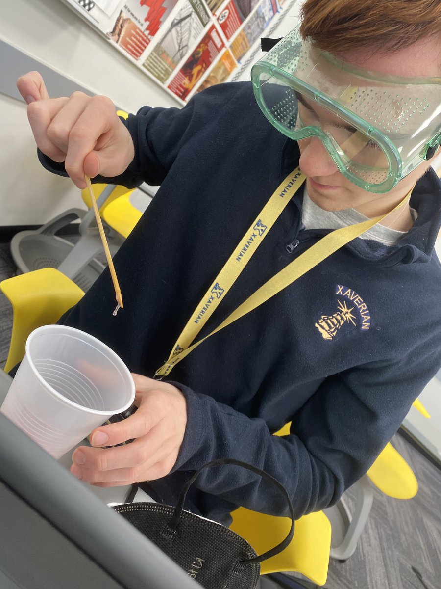Cjurexhs's tweet photo. Today, in Life Science, students extracted DNA from different fruits and were able to see the "goop" that determines traits. #clippers https://t.co/gpwYRPPQxf