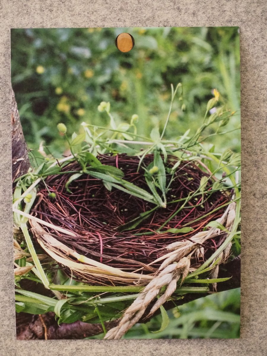 JusticeMuseum's tweet image. Meet one of our Artists in Residence at C2C Social Action as part of our #ProjectLab. 

Sam is an artist who works with embroidery and painting to create art that helps her make sense of odd memories, misremembered situations and half forgotten interactions.

@MrsGibson @NJMIdeas