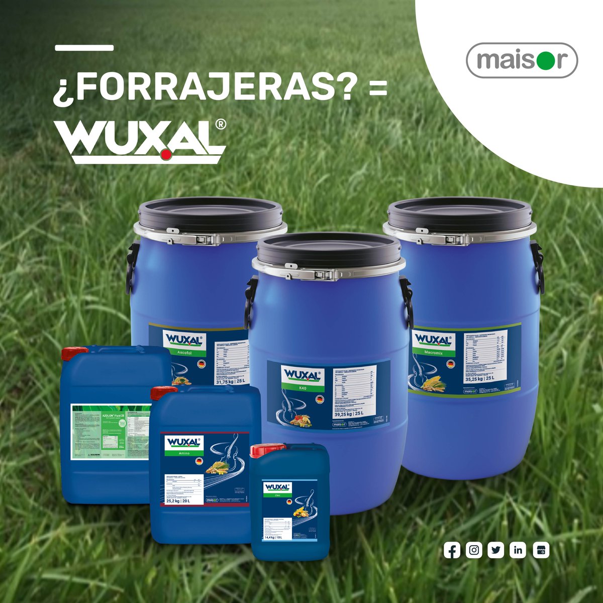 🔜 ¡Se viene una nueva zafra de forrajeras con la línea WUXAL! 
🔵 Tratamiento de Semilla: Terios Zn
🔵 Foliares: Amino, Azolon, Ascofol, Macromix, K-40, Zinc...

¡Y más!  

💡 Consultá con nuestro equipo comercial o en tu #DistribuidorMaisor

🚛