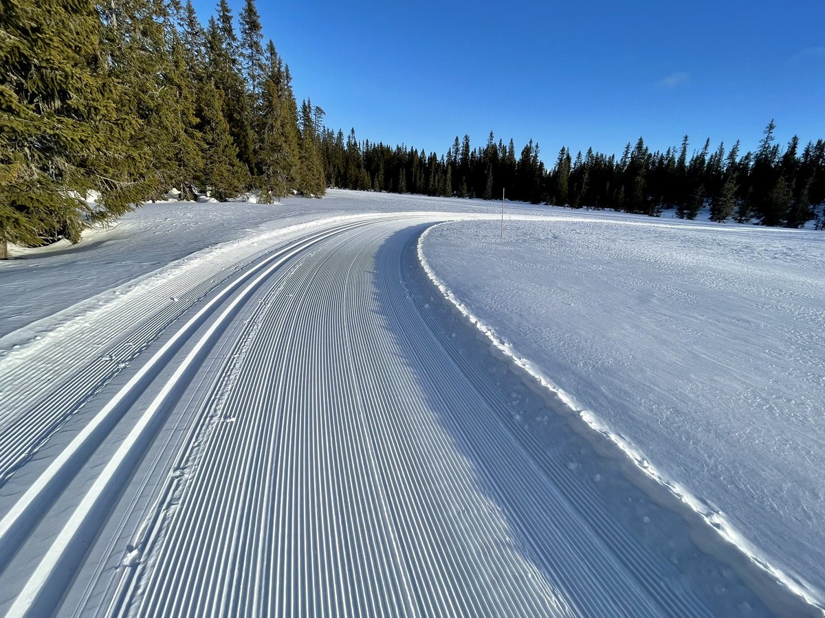 I found perfection! #xcskiing #skidefond #Norway