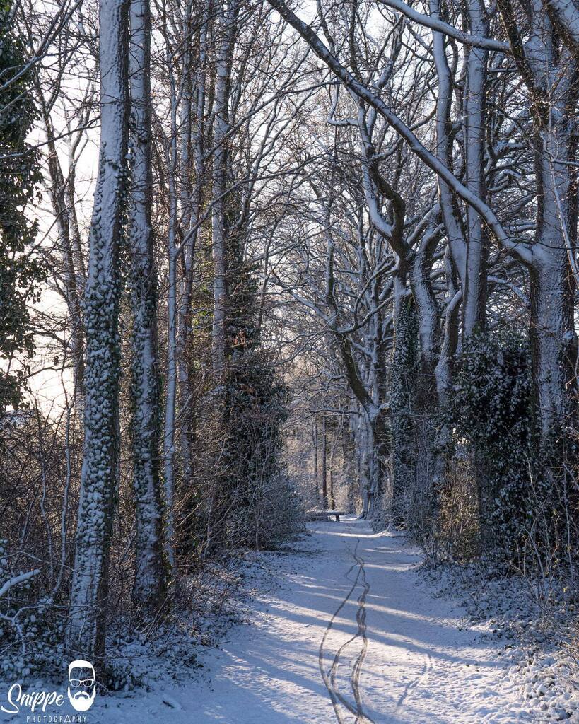 #winterwonderland #snow #snow #minilandscape #macrophotography #macro_brilliance #macro_perfection #closeupphotography #closeup #natures_shoots_ #natures_lights #natuurfotografie #lumix #landschaftsfotografie #landschapsfotografie #landscapephotography #… instagr.am/p/Cp0SQxmsQ7r/