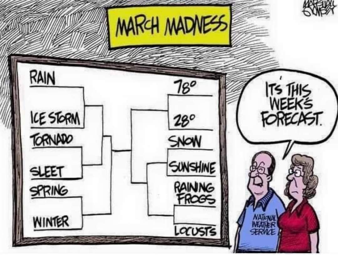 Sandman436's tweet photo. @Ella__Dorsey any predictions on this March Madness bracket? 🤔 https://t.co/ZXc2rpkNtr