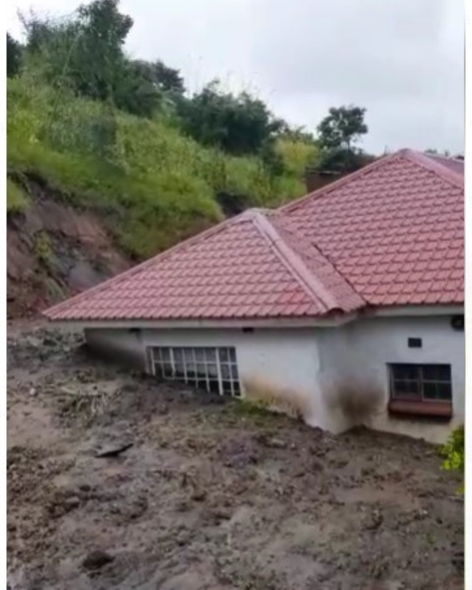 COG - Krizevac Project tweet media