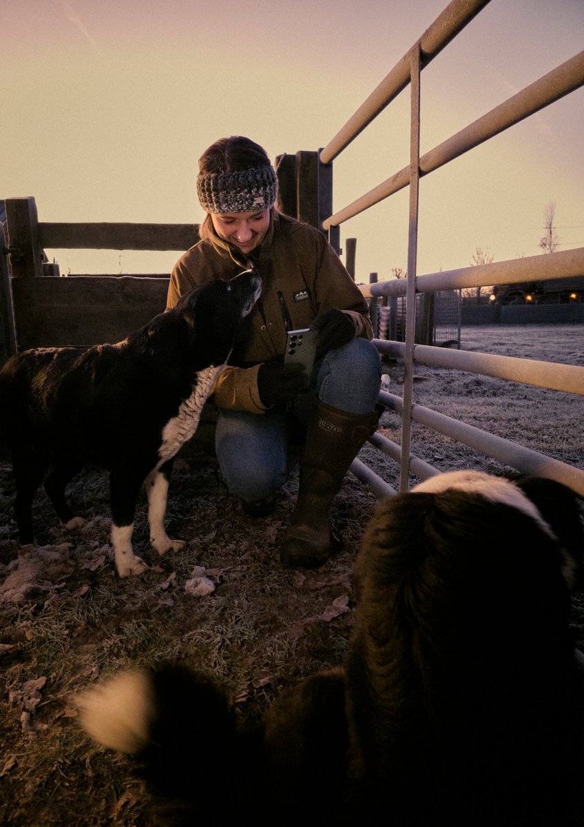 SamsungUK's tweet image. Charlie Beaty, ‘The Night Watch Farmer’, Meridan Farm

Working alongside her father and uncle on their family farm, Charlie Beaty is passionate about driving positive change in the agricultural industry.