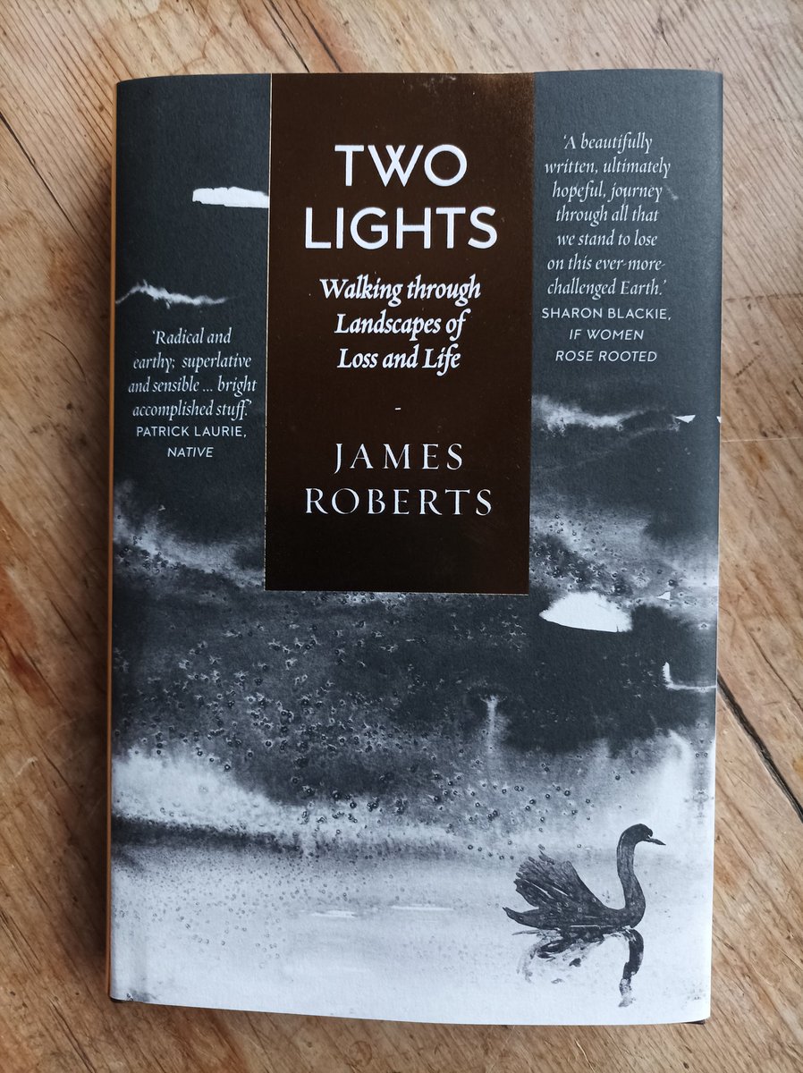 JoMortProofread's tweet image. Look what arrived. Huge thanks to @septemberbooks and @nightriverwood – Two Lights is absolutely beautiful. It's always worth entering a competition!