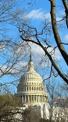TransdevNA's tweet image. So great to welcome friends and colleagues at the Opening Reception for the @APTA_info Legislative Conference. Honored to work with government partners who enable us to empower the freedom to move. #TransitIsEssential #CommonGood #TransdevPurpose