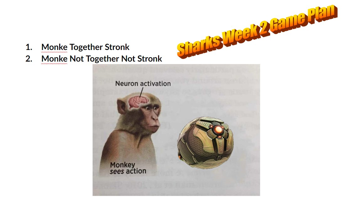 LEAKED: Internal Sharks Gameplan Vs. @ShadowMLE