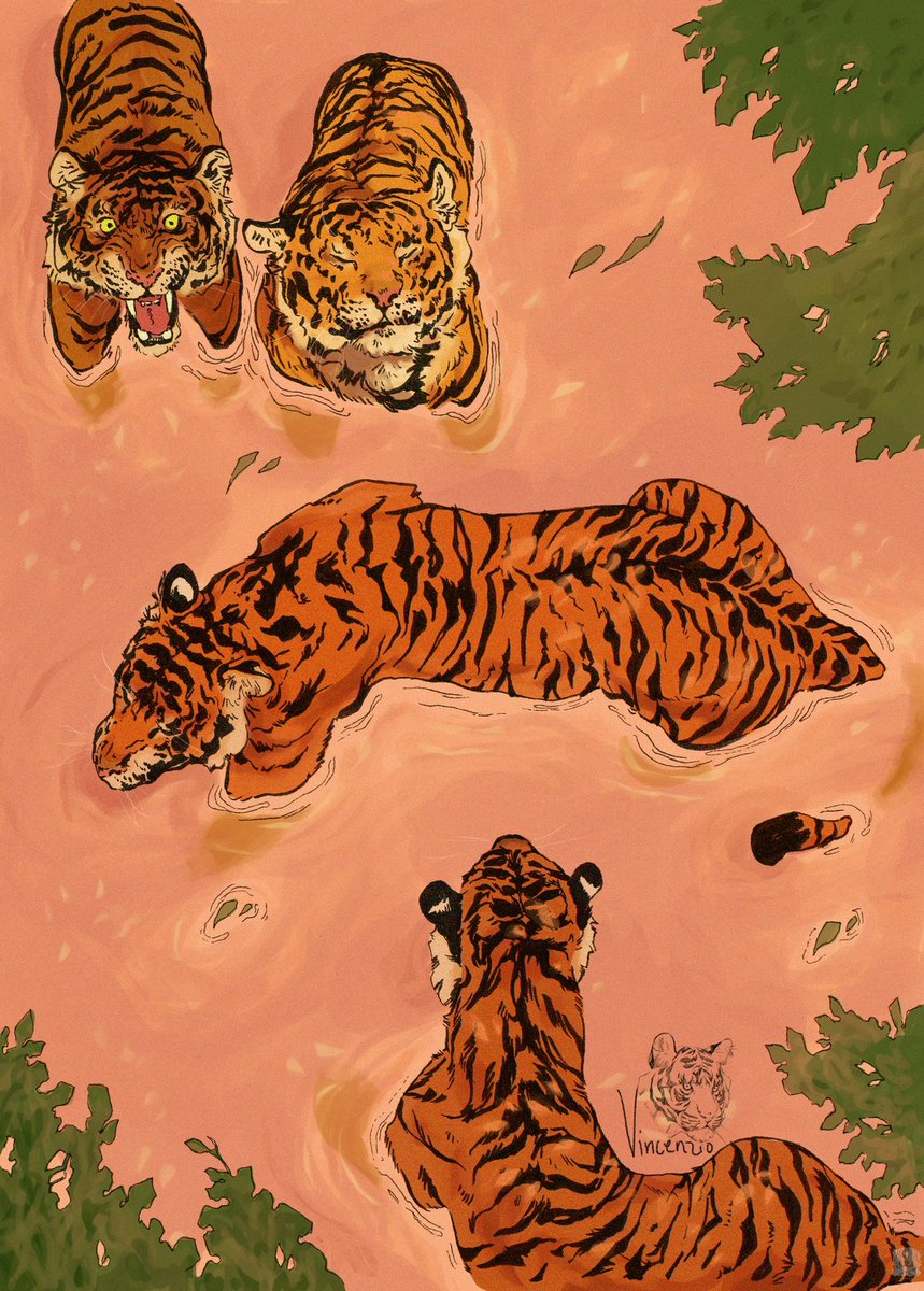 tiger no humans leaf year of the tiger animal animal focus water  illustration images