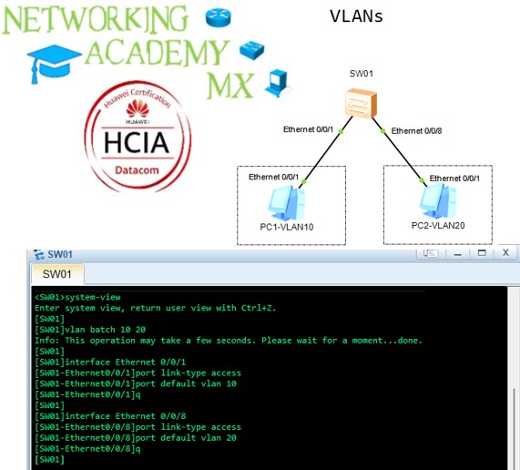 NetAcadeMx tweet picture