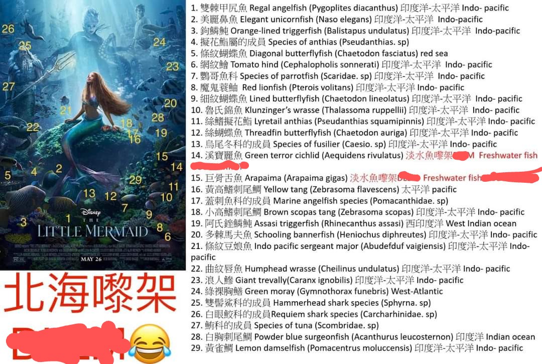 Sonya_0102's tweet photo. Freshwater fish, Saltwater fish...whatever swimming in water calls fish...🙈
#TheLittleMermaid https://t.co/J9hQjr95NJ
