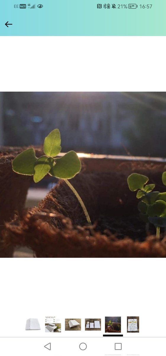 Dan Harley tweet media