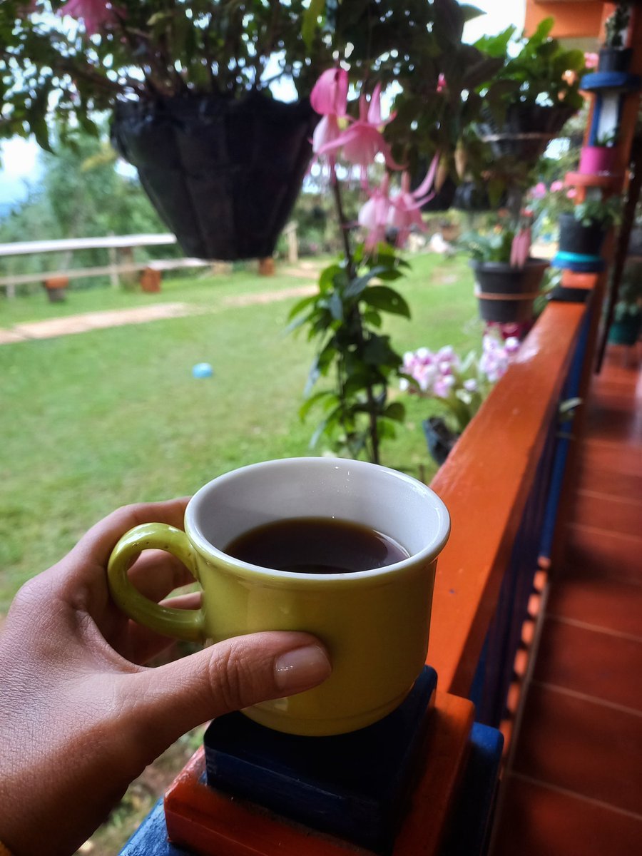 ViviEstradaO's tweet photo. 😋☕️😍 Nada mejor que disfrutar un cafecito en la finca donde lo cultivan. Qué bueno fue compartir con doña Elsa Quinayás y probar "El Placer", café orgánico 💯% colombiano.
#OrgulloCafetero
#MujerCafetera
#ValleCafetero
#CaféDeColombia
#Comunicación https://t.co/xg5ODqPtc8