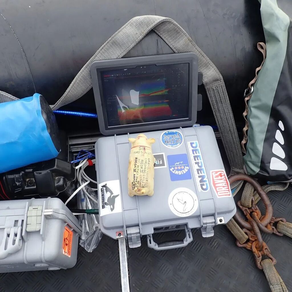 Warren_Lab's tweet image. Lab mascot Sir Pings-A-Lot II makes his  popular press debut in this month's issue of Scientific American in an article (which also mentions me) about our work in Antarctica on how baleen whales find food. ift.tt/h96bRX3 instagr.am/p/Cp0QCpzOapK/