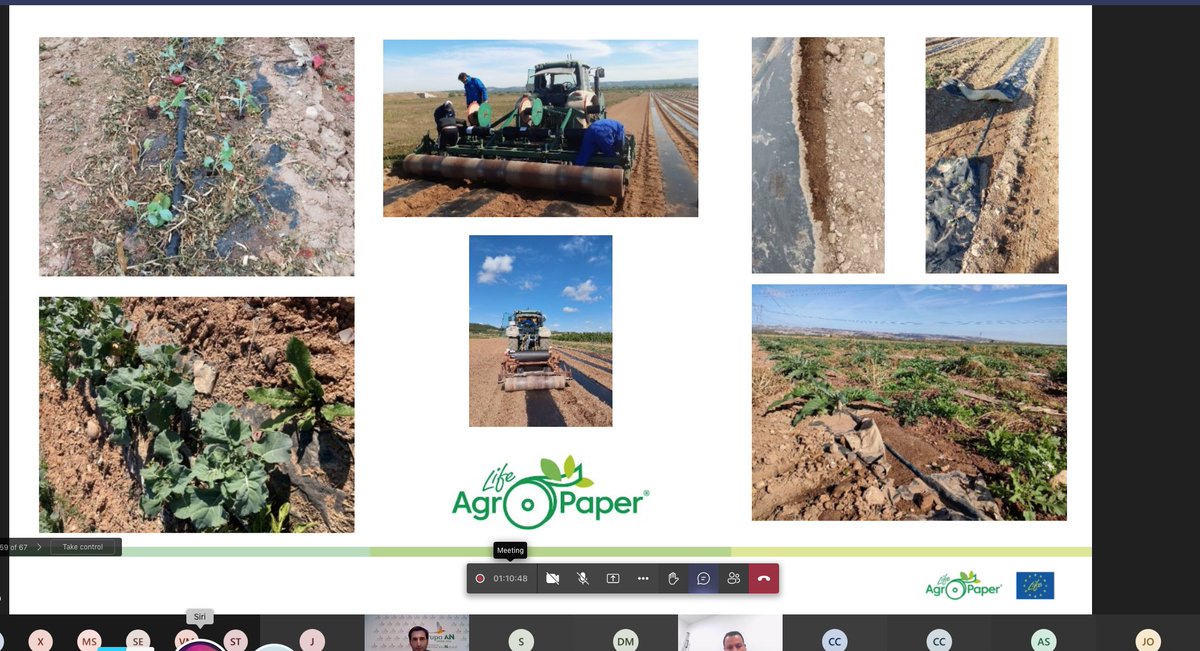 LifeAgropaper's tweet photo. Sesión informativa sobre @LifeAgropaper🌱
🫴 Sergio Menéndez, del @GrupoAN_1910 explica las ventajas e inconvenientes del uso de #AgroPaper en cultivos como la #alcachofa, el #pimiento y el #tomate.
"Las limitaciones comparadas con el #biofilm son las bovinas y la elasticidad" https://t.co/qwV9817H8e