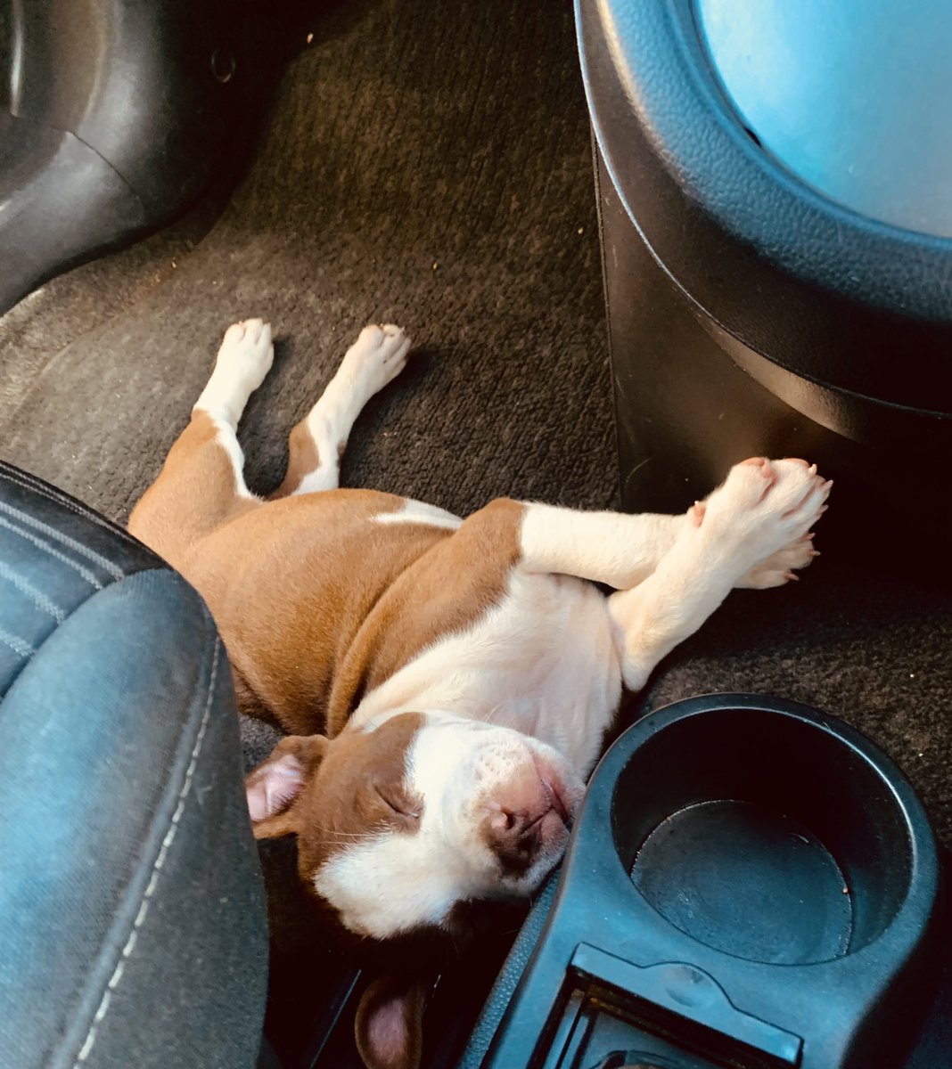 Princess of Botswana🇧🇼 tweet media