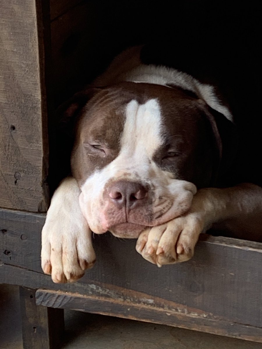 Princess of Botswana🇧🇼 tweet media