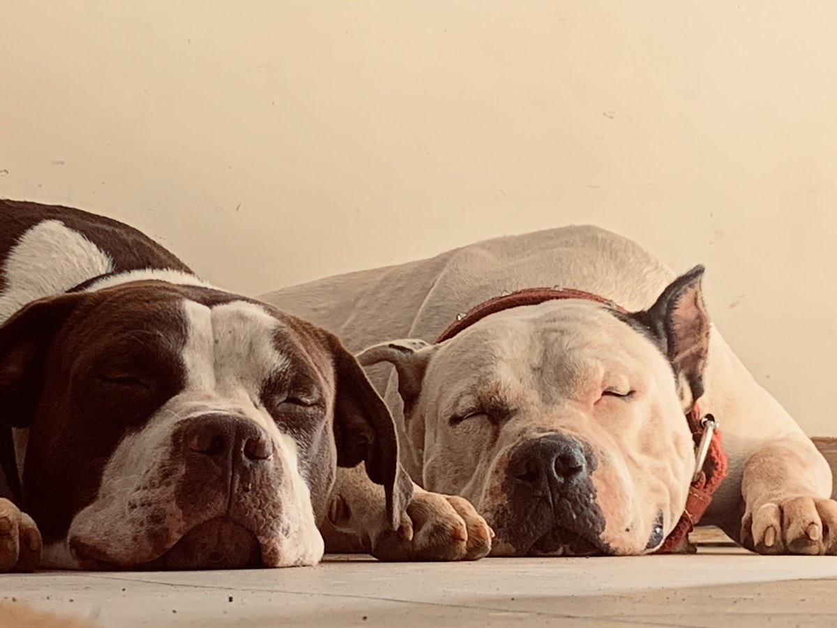 Princess of Botswana🇧🇼 tweet media