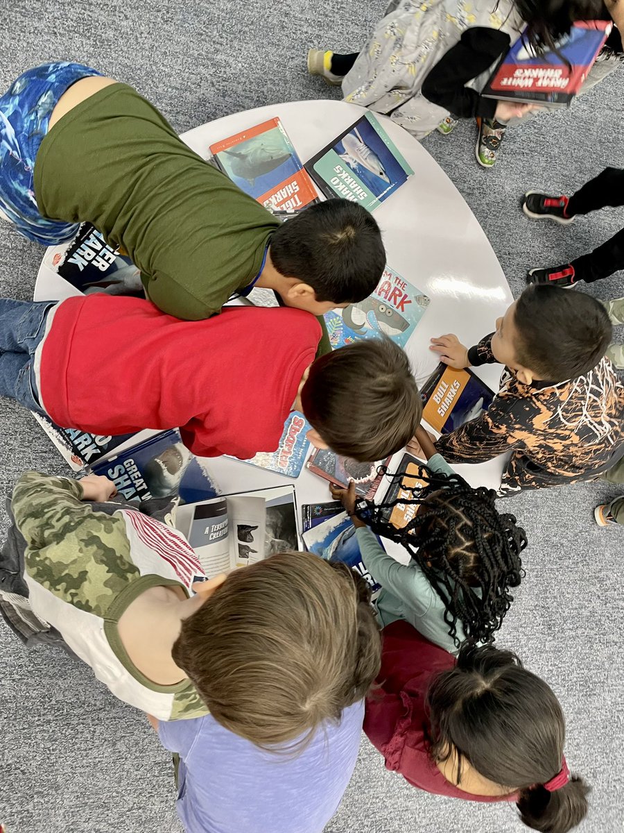 What happens when you read Shark Lady by @Jess_Keating (especially with the added bonus of @novel_effect)? Everyone wants a books about sharks! #WomensHistoryMonth #wbend15 <a href="/D15Schools/">Community Consolidated School District 15</a>