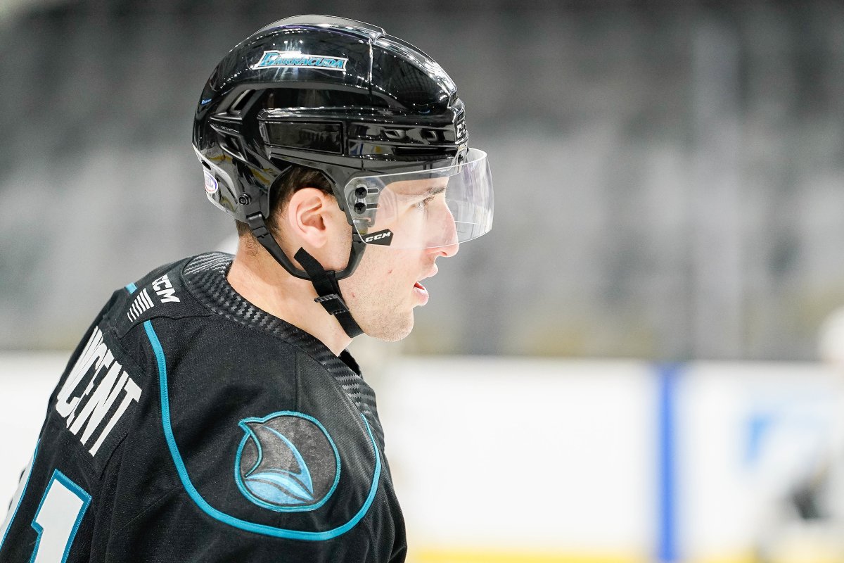 WELCOME TO THE REEF, ROMAN AND ANTHONY! 🪸