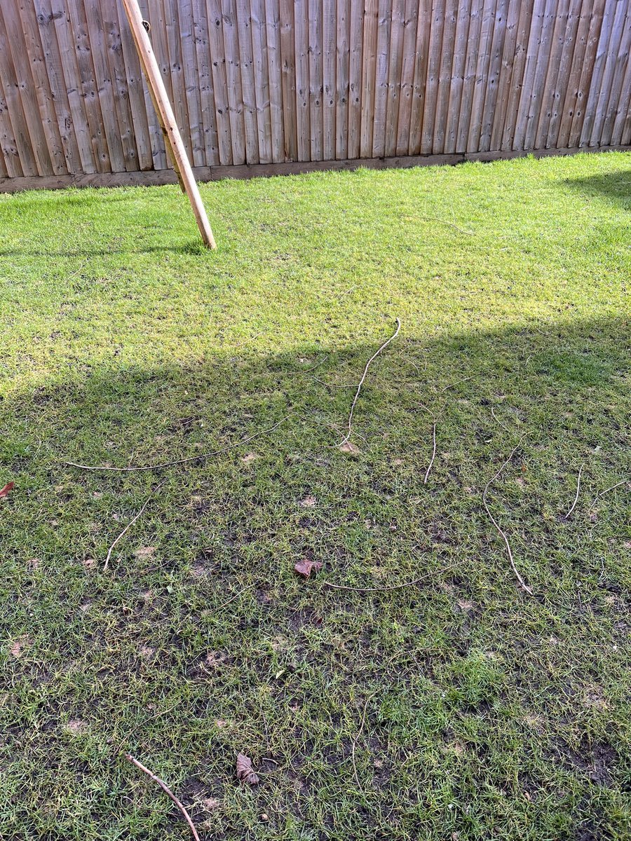 DH_Maintenance's tweet photo. Made a lovely change for #norain during the day, with early morning frost had a possible new job to look at -then a visit to the communal lawn - cleared fallen branches after the winds &amp; blew #wormcasts &amp; #aerated again with more rain forecast tonight. #hollowtining doing well👍 https://t.co/81ceAPgRSS