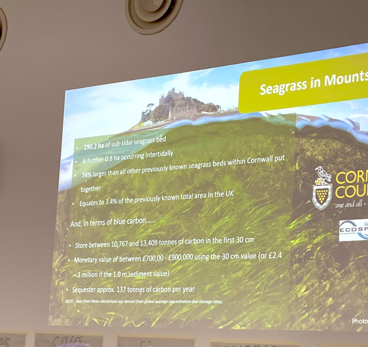 bexenglish's tweet photo. An inspiring and active #greenday @newlynexchange today 💚 Brilliant presentations from @CwallWildlife @MountsBayMarine #growinglinks @CornwallCouncil #cornwallclimatestories - from food &amp; sea charters, citizen science and sea grass to waste management, so much to think about! ✨ https://t.co/hCo4L4qluH