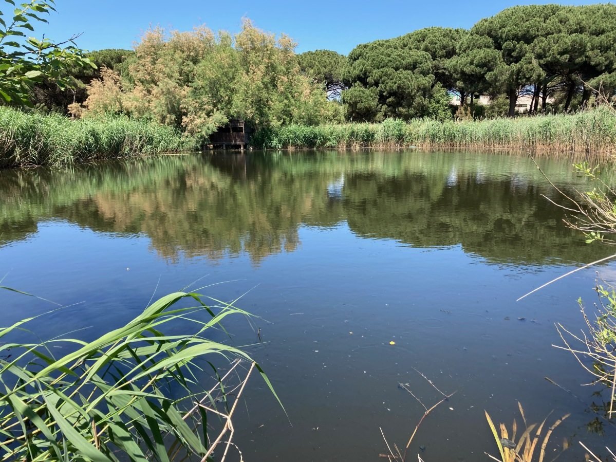 Inst. of Environmental Assessment & Water Research (@idaea_csic) on Twitter photo 📰The <a href="/Natureproject20/">Nature project</a> is featured in the March edition of the <a href="/aquapollutants/">AquaticPollutantsTransNet</a> #newsletter, showing how 🌿#NatureBasedSolutions reduce the presence of antibiotics, antimicrobial resistance and pathogens on rivers.
Read the first results of the project⤵️
archive.newsletter2go.com/?n2g=nsh4susz-… 📰The <a href="/Natureproject20/">Nature project</a> is featured in the March edition of the <a href="/aquapollutants/">AquaticPollutantsTransNet</a> #newsletter, showing how 🌿#NatureBasedSolutions reduce the presence of antibiotics, antimicrobial resistance and pathogens on rivers.
Read the first results of the project⤵️
archive.newsletter2go.com/?n2g=nsh4susz-…