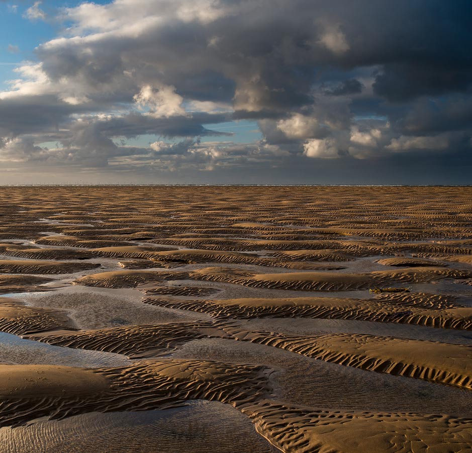 1-2-1 WORKSHOPS
Come join me for a day on the beautiful Norfolk Coast or on the Norfolk Broads or maybe in some of our gorgeous woodland.
8 hour non-technical and relaxed day visiting two to three locations. £275 or £325 for two people.
Link in next tweet.