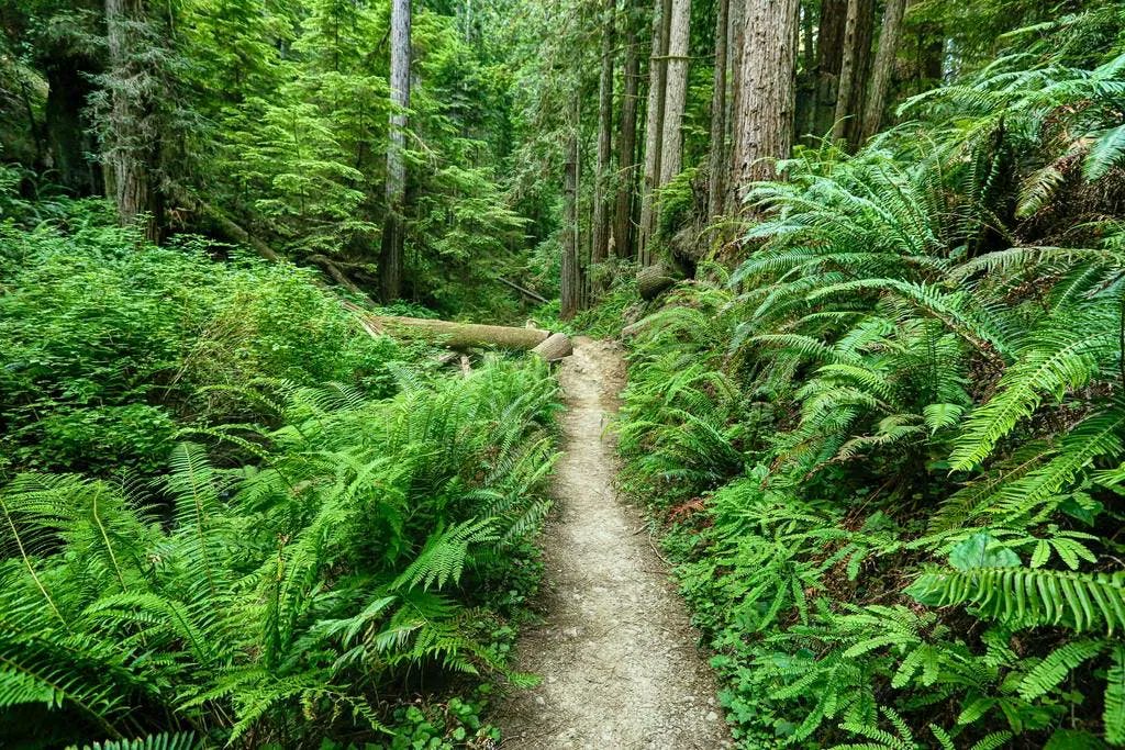 outerspatial's tweet photo. Want to make your @CAStateParks visits even more fun &amp; engaging? Our new #DigitalPassport program lets you bring your outdoor experience to a whole new level. Get maps, collect badges &amp; have friendly competitions! #findyouradventure

Download today! 
https://t.co/Kyl3sciG3C https://t.co/XwZ72e922D