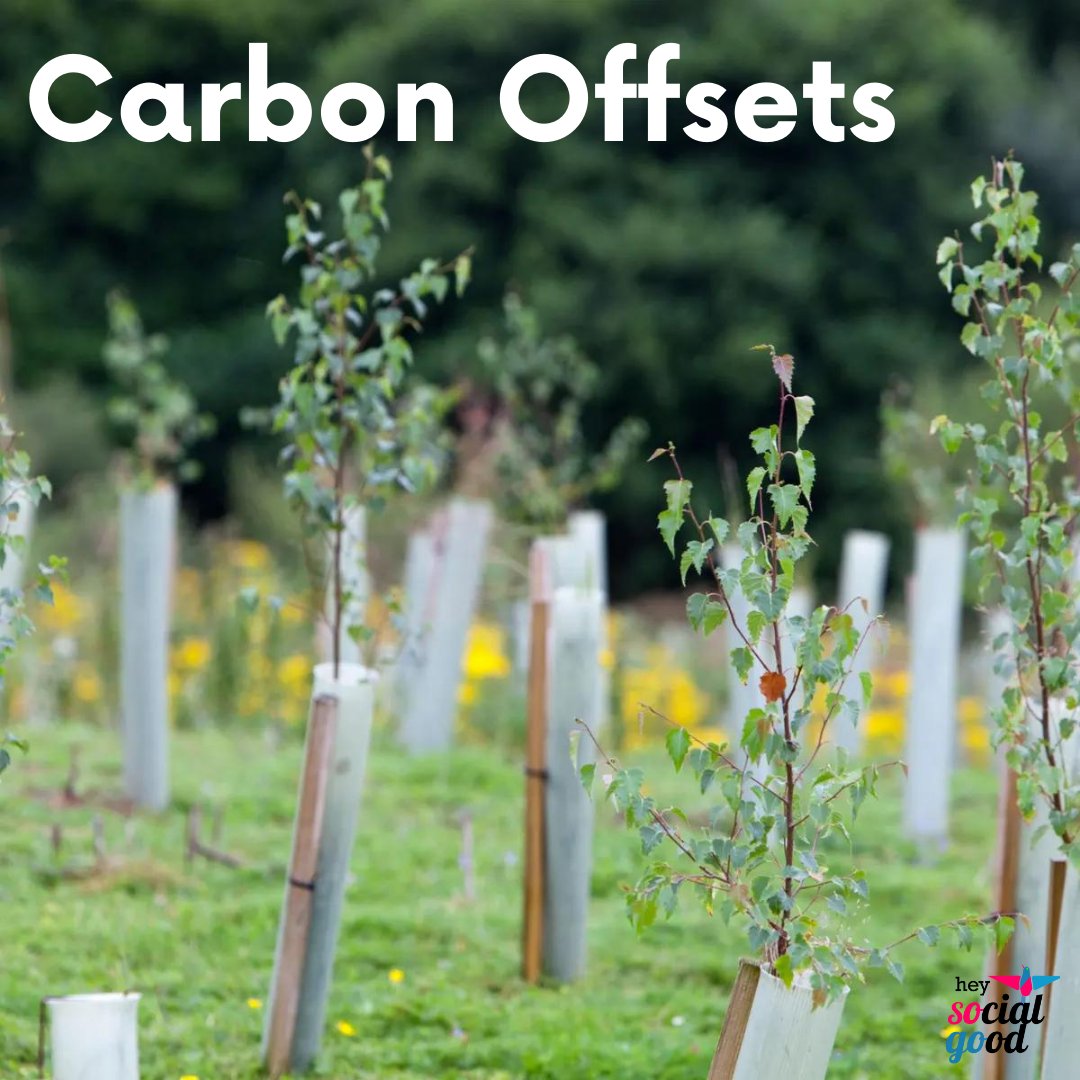 Hey Social Good tweet media