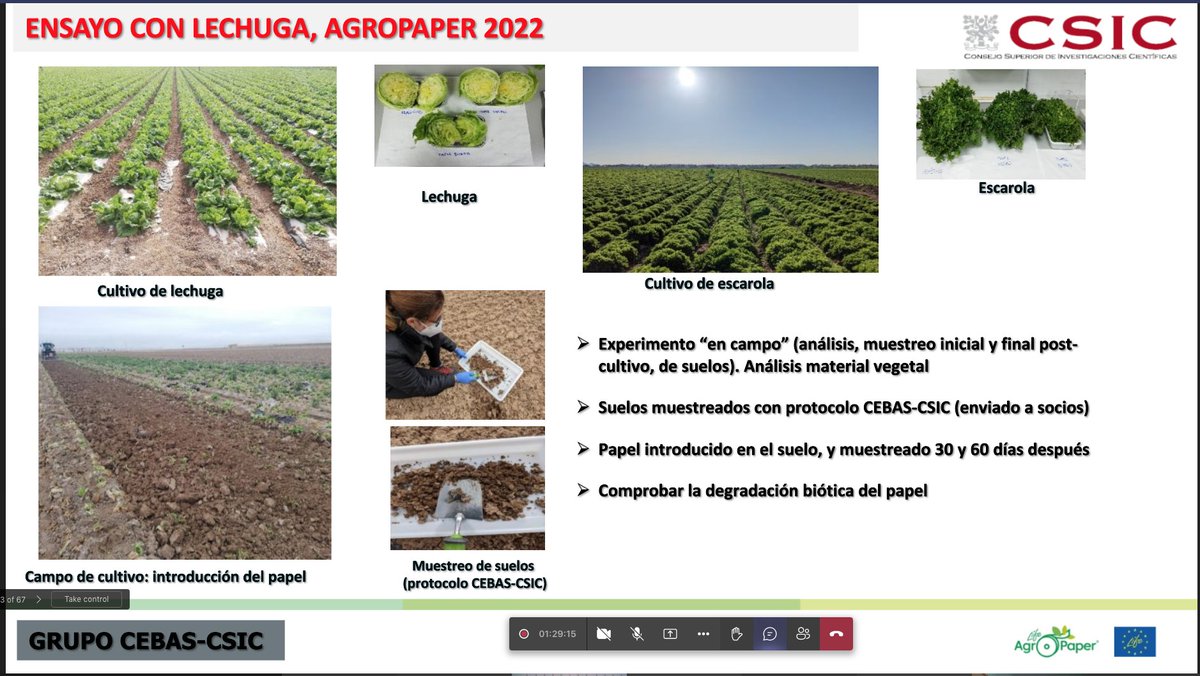 LifeAgropaper's tweet photo. Sesión informativa sobre @LifeAgropaper🌱
🫴 Carlos García, @CEBAS_CSIC
"El #suelo es algo dinámico, mantiene la 1/4 parte de la #biodiversidad del planeta y nos da los alimentos. Por eso es fundamental protegerlo. 
#AgroPaper es una enmienda orgánica exógena de calidad para él" https://t.co/JZMbzWfek8