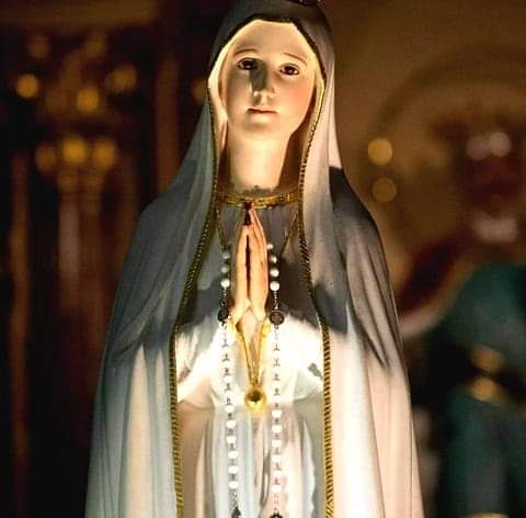 AJesusporMaria5's tweet photo. “Madre, concédenos que en todo momento acudamos a ti, porque estamos seguros de que, si somos fieles en invocarte, tú serás fiel en ayudarnos". Amén. https://t.co/9HGmTovv06