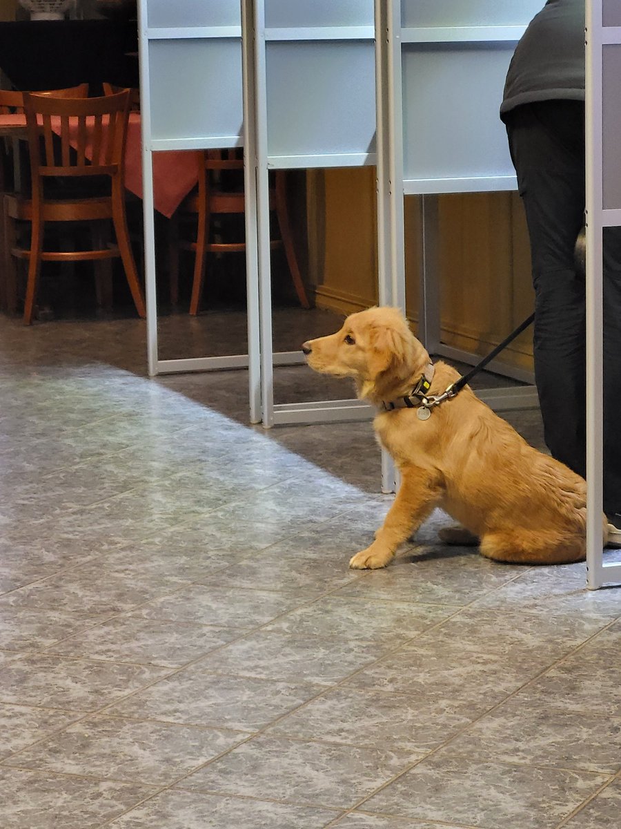 In Eenrum en net ook in Wehe den Hoorn rij voor de stembus.