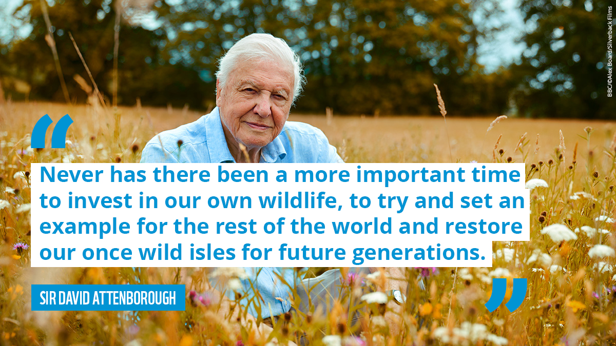 wwf_uk's tweet photo. The first episode of #WildIsles left us with a poignant message from Sir #DavidAttenborough himself. The series is a stark reminder not only of the incredible beauty of nature in the UK, but also its fragility.  

We can all play our part to save it. If you love nature, act now. https://t.co/8y6Dt40O88