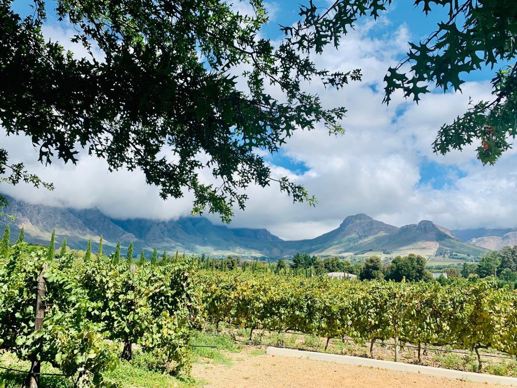 WendiPeters's tweet photo. Beautiful lunch with the people who love me most ❤️❤️❤️ #needed #lelude #franschhoek #SouthAfrica https://t.co/NGVo479E35