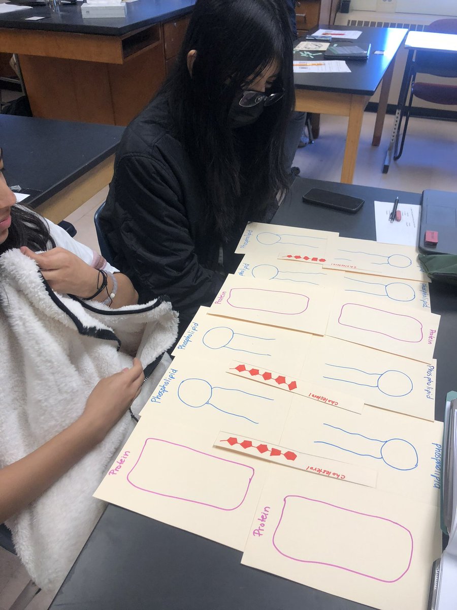 MsBasl_FCHS's tweet photo. Second Biology SOL review was a success! Reviewing cells and transport! We love our FC bio students! #wearefc @FCPSR2 @FallsChurchHS https://t.co/D8eL8YlV1g