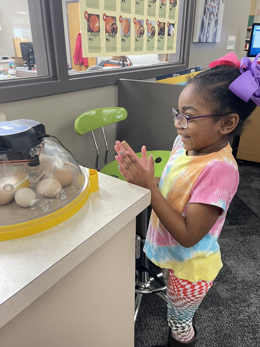MrsharrisWRE's tweet photo. The excitement is real for these chicken “tenders.” We have cheered them on and the hatching process has begun! #schoolwideproject #lifesciencestandards #chickensonamission @AbbiYiesla @WhiteRiverEagle https://t.co/xUqHv33YT0