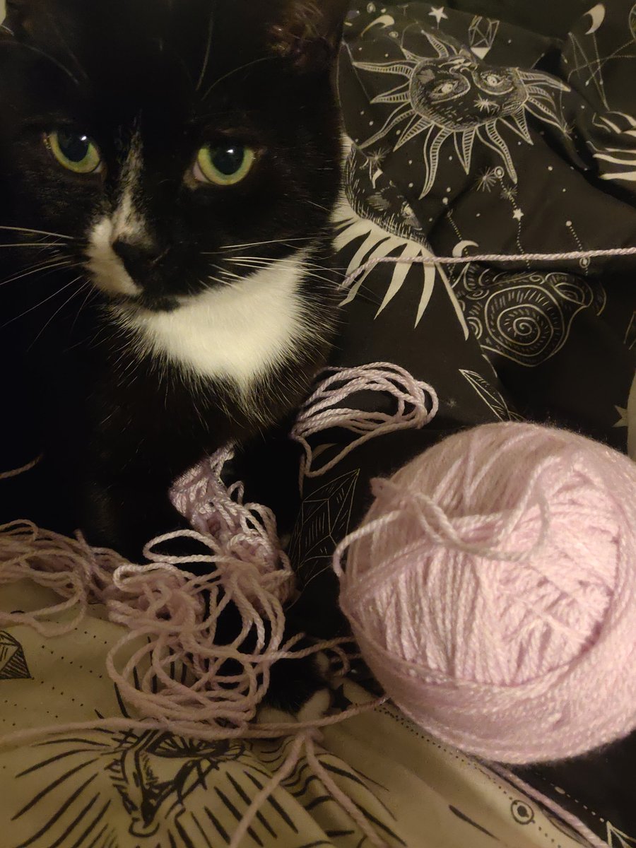 ZwethBee's tweet photo. "So here's the best way to tangle your wool. Oh wait, sorry, you wanted to *untangle* it?" https://t.co/2RMt0n0CVd