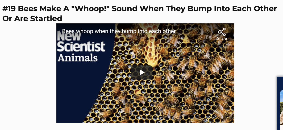 Dr. Emily Saurman tweet media