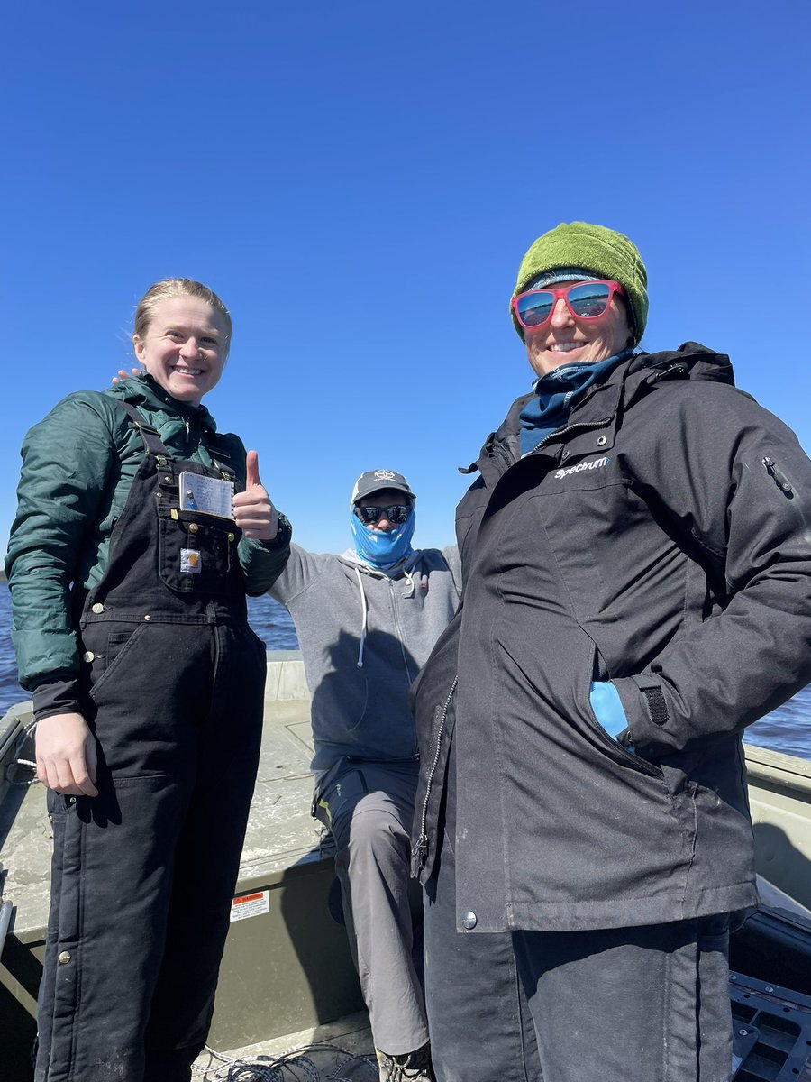 Matthew Waters (@waters_paleolim) on Twitter photo Cold and windy day coring Lake Singletary, NC. Still we got 2.5m of mud with tons of visible change. Should be a good one. #CarolinaBays <a href="/BenCWebster/">Benjamin Webster</a> <a href="/SavvasStathis/">Savvas Paradeisis-Stathis</a> @SavWoohoooo <a href="/AuburnWater/">Auburn University Water Resources Center</a> <a href="/AuburnAg/">Auburn Agriculture</a> #mud #paleolimnology Cold and windy day coring Lake Singletary, NC. Still we got 2.5m of mud with tons of visible change. Should be a good one. #CarolinaBays <a href="/BenCWebster/">Benjamin Webster</a> <a href="/SavvasStathis/">Savvas Paradeisis-Stathis</a> @SavWoohoooo <a href="/AuburnWater/">Auburn University Water Resources Center</a> <a href="/AuburnAg/">Auburn Agriculture</a> #mud #paleolimnology
