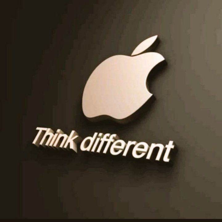 Elite Essays tweet media