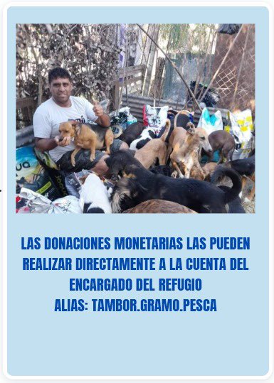 agustinguardis's tweet photo. Sumense a esta hermosa tarea solidaria ! Demosle todo el apoyo a Ezequiel y a estos animalitos que lo necesitan mucho y tienen los mismo derechos que nosotros a vivir sanamente ☺️ #Elrefugioperruno https://t.co/Nsmg0h7pNF