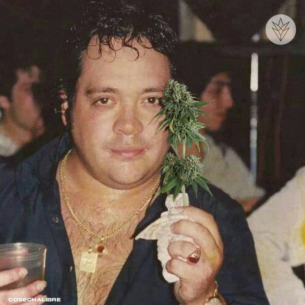 CosechaLibre's tweet photo. Sale ese Leo Fasiolli? https://t.co/gbcuFLsgTA