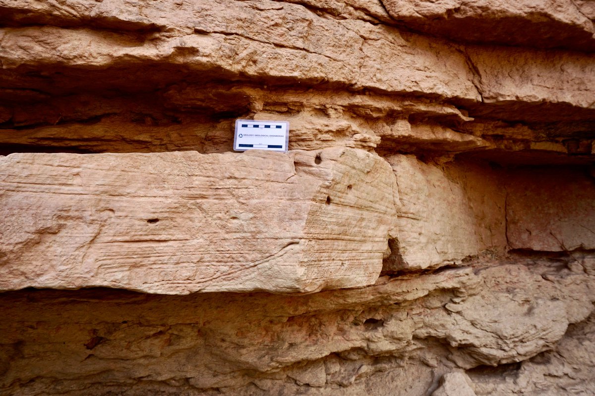 stratigraphix's tweet photo. The outcrops that keep on giving - final day of fieldwork in the Book Cliffs before I head back and prepare for 10 days of deepwater outcrops looking at the Jackfork Group in Arkansas with Dr. Leslie Wood.
#BookCliffsFieldTrips #BookCliffs #Siliciclastics #Sedimentology #Geology https://t.co/EFKu8jBzmR