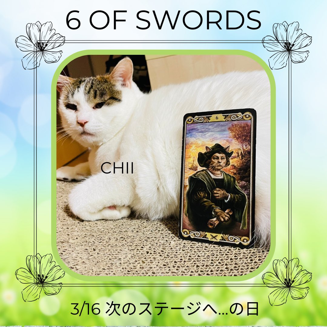 oraclerinko's tweet photo. 3/16次のステージへ…の日⛵️今の状況からの脱出、まるで場面転換を迎えたように感じられ、ホッとしと安心するでしょう😮💨未来に少し希望が見えてきます✨新しい見方や新しい場所。その件から少し離れることで事態が好転しそうです☝️ #6ofSWORDS #春だニャ #タロット #猫 https://t.co/z1yucVxd2T