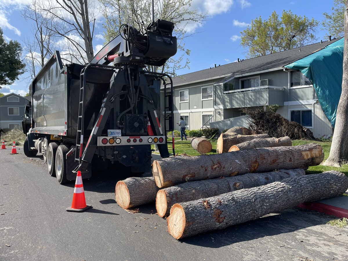 Brooks_Jarosz's tweet image. CLEAN-UP: After yesterday’s fierce wind, crews are hard at work in #Livermore clearing the massive trees that toppled.