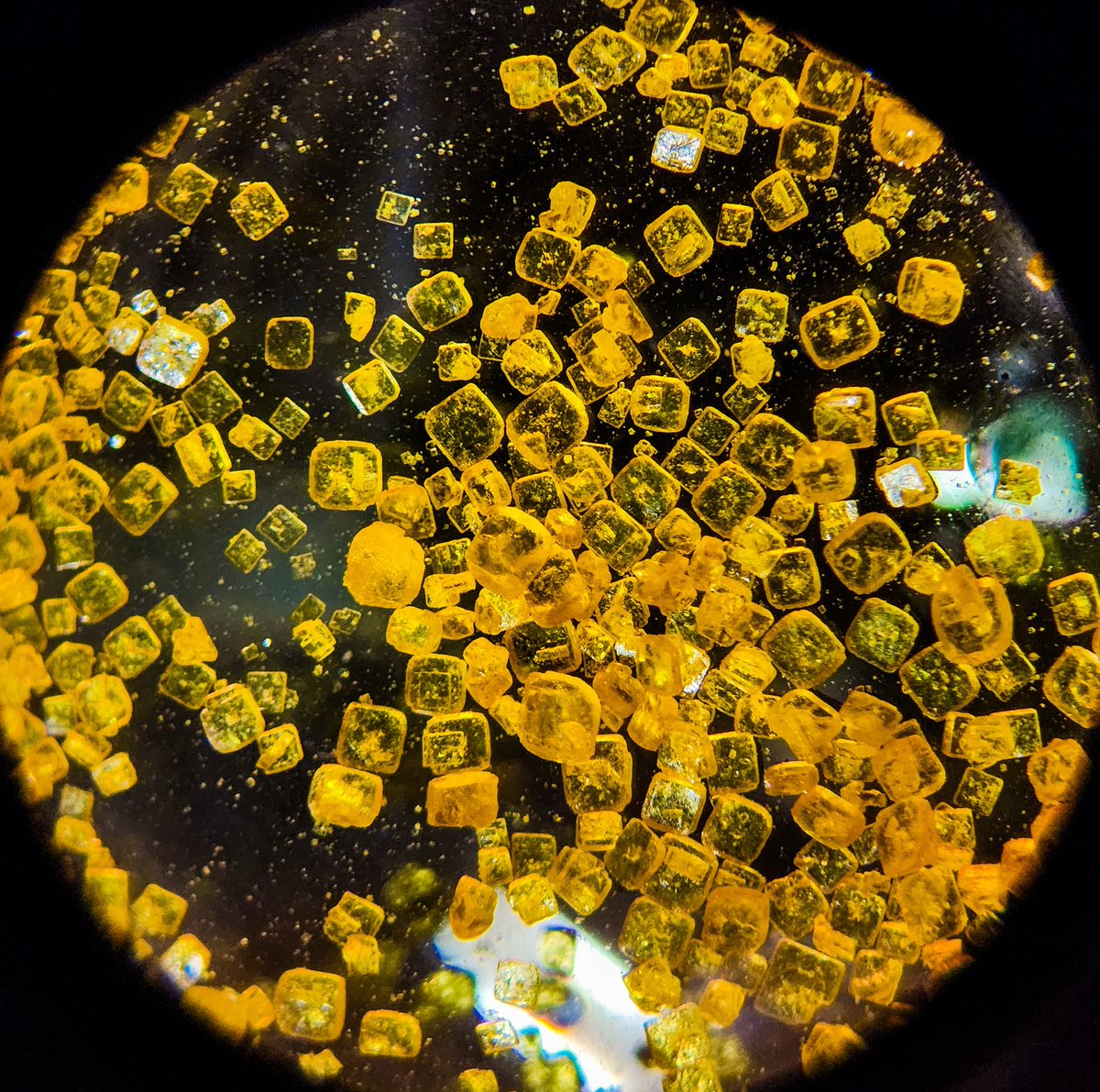 Hoping these crystals bring luck...
Do they look Gold? 
#MOFs #crystals