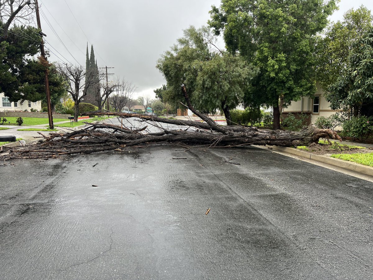 abc7sid's tweet image. The #rain had passed , but the major headaches remain. Downed #trees and #mudslides are have closed streets, roads and cut off one #Sunland neighborhood from the rest of the city!! More @ABC7 at 4.