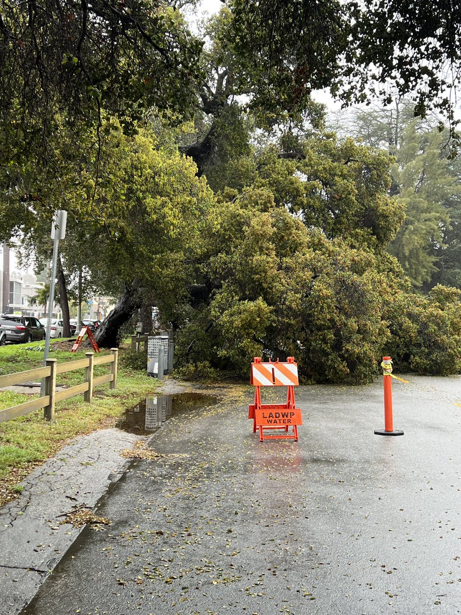 abc7sid's tweet image. The #rain had passed , but the major headaches remain. Downed #trees and #mudslides are have closed streets, roads and cut off one #Sunland neighborhood from the rest of the city!! More @ABC7 at 4.
