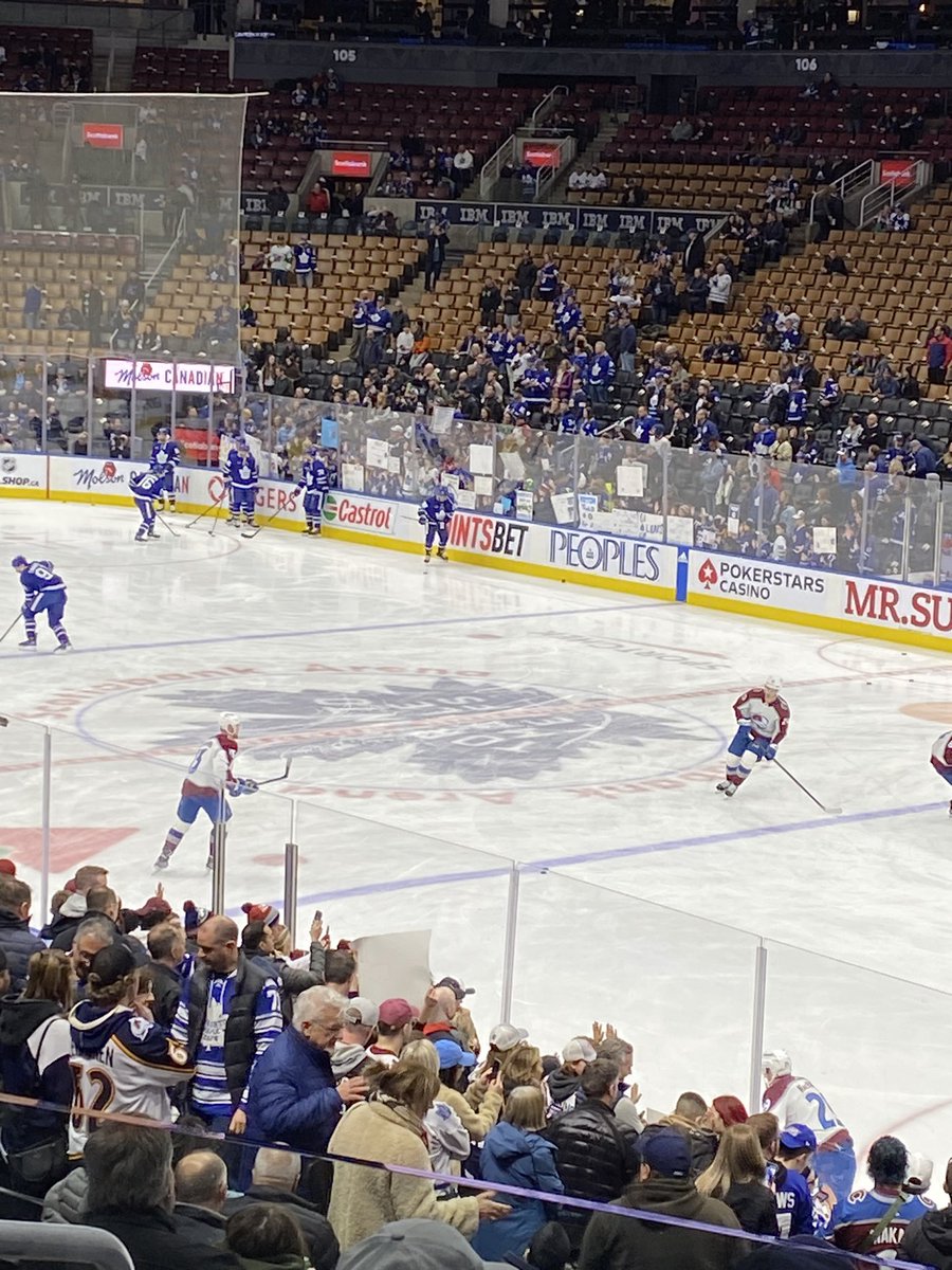 Go Leafs Gooooo!