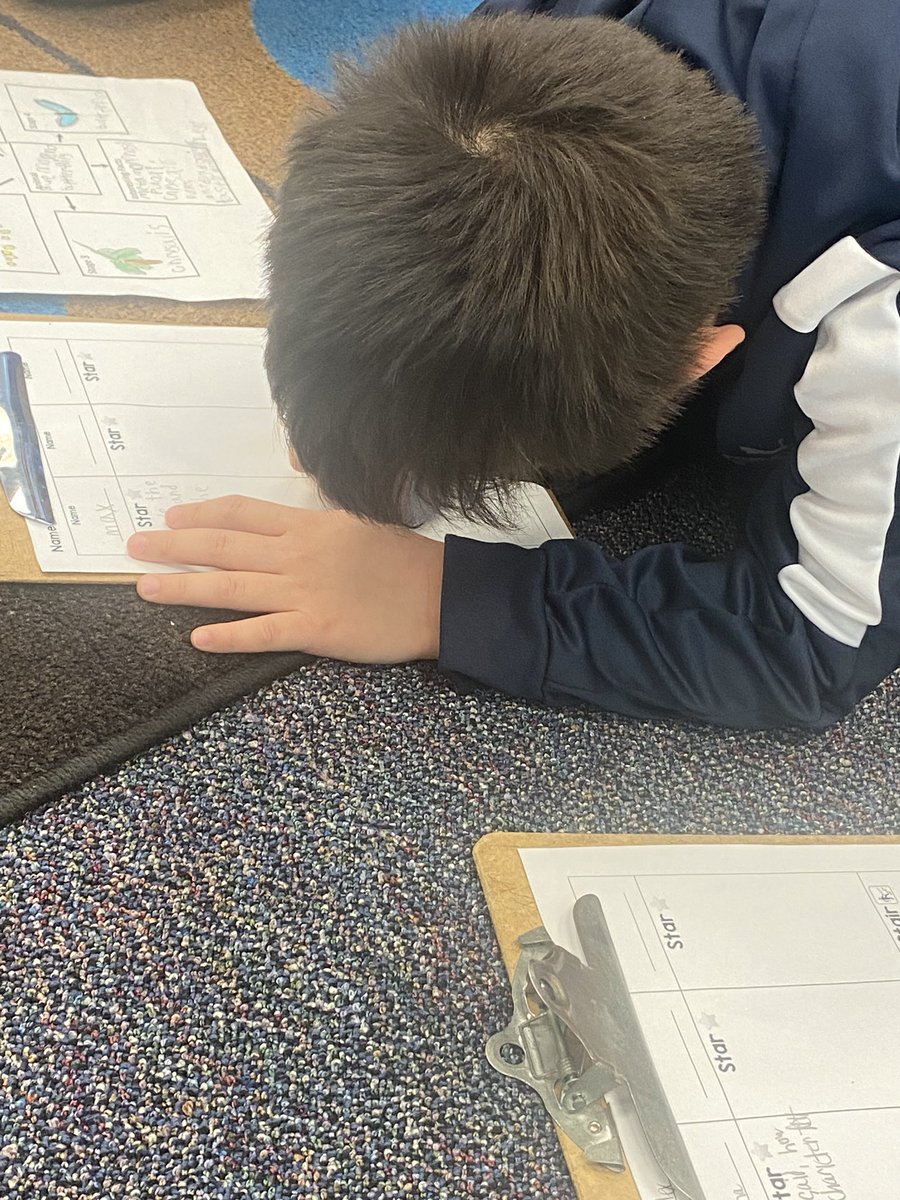 Nicole Croce (@ms_croce) on Twitter photo We had a writing celebration this morning for our insect writing. Ss celebrated with doughnuts and then got right to work providing feedback to peers using stars and stairs. <a href="/CampbellAPS/">Maureen Nesselrode</a> <a href="/APSLiteracy/">APS Elementary ELA</a> We had a writing celebration this morning for our insect writing. Ss celebrated with doughnuts and then got right to work providing feedback to peers using stars and stairs. <a href="/CampbellAPS/">Maureen Nesselrode</a> <a href="/APSLiteracy/">APS Elementary ELA</a>